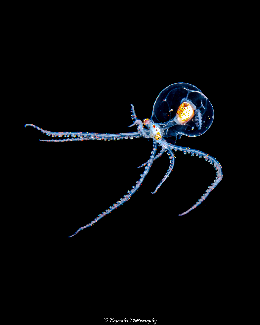 DSC_4114.jpg